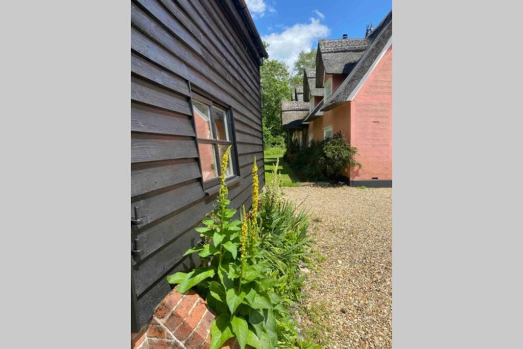 Gorgeous Comfortable Barn With Huge Private Orchard In Quiet Suffolk Location Depden Exteriör bild