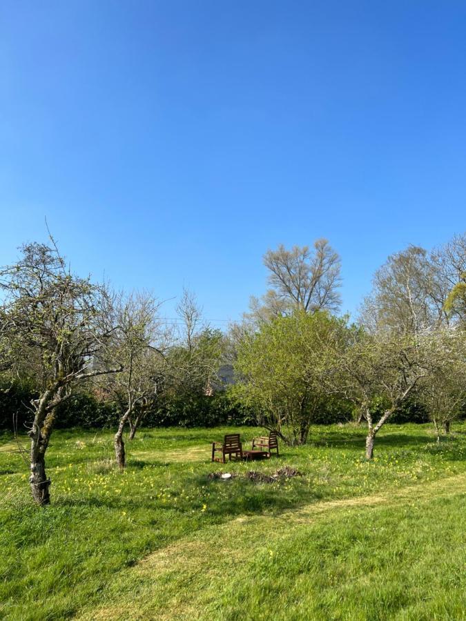 Gorgeous Comfortable Barn With Huge Private Orchard In Quiet Suffolk Location Depden Exteriör bild